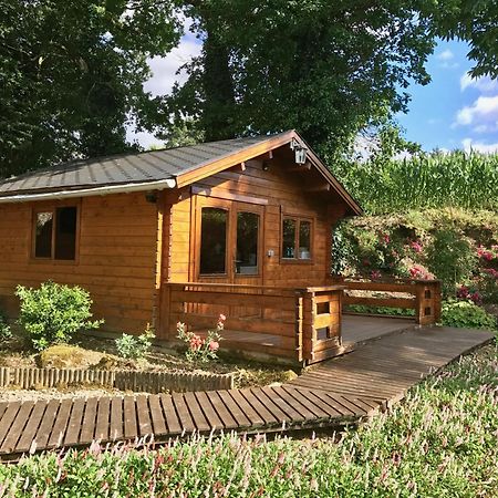 Chambres D'Hotes Les Tilleuls Poullaouen Dış mekan fotoğraf
